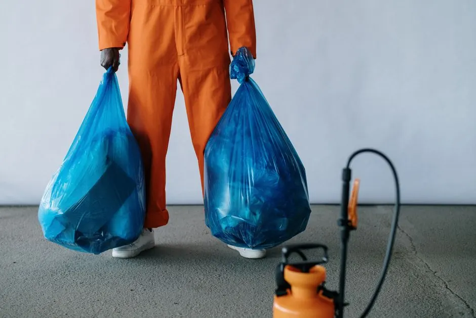 Rodent Waste Cleanup in Beach, Florida